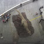 Fake T.Rex on the Thames