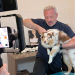 animal-cracker-IMG_4070